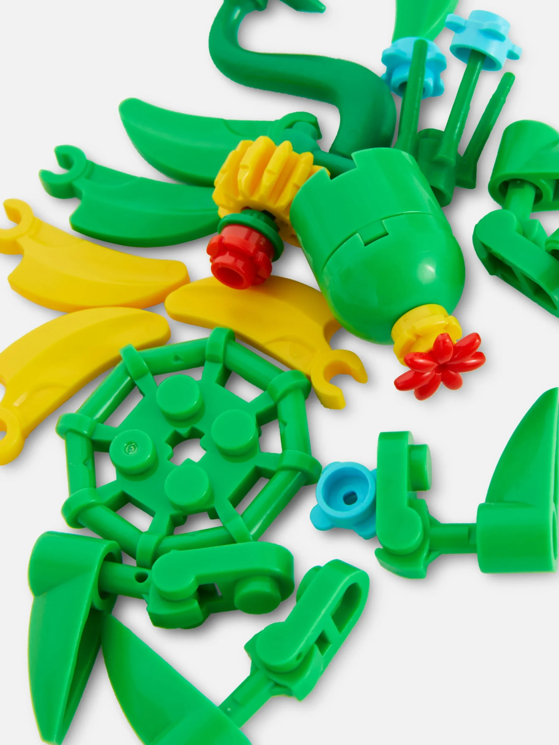 Boques De Construcción Para Suculentas