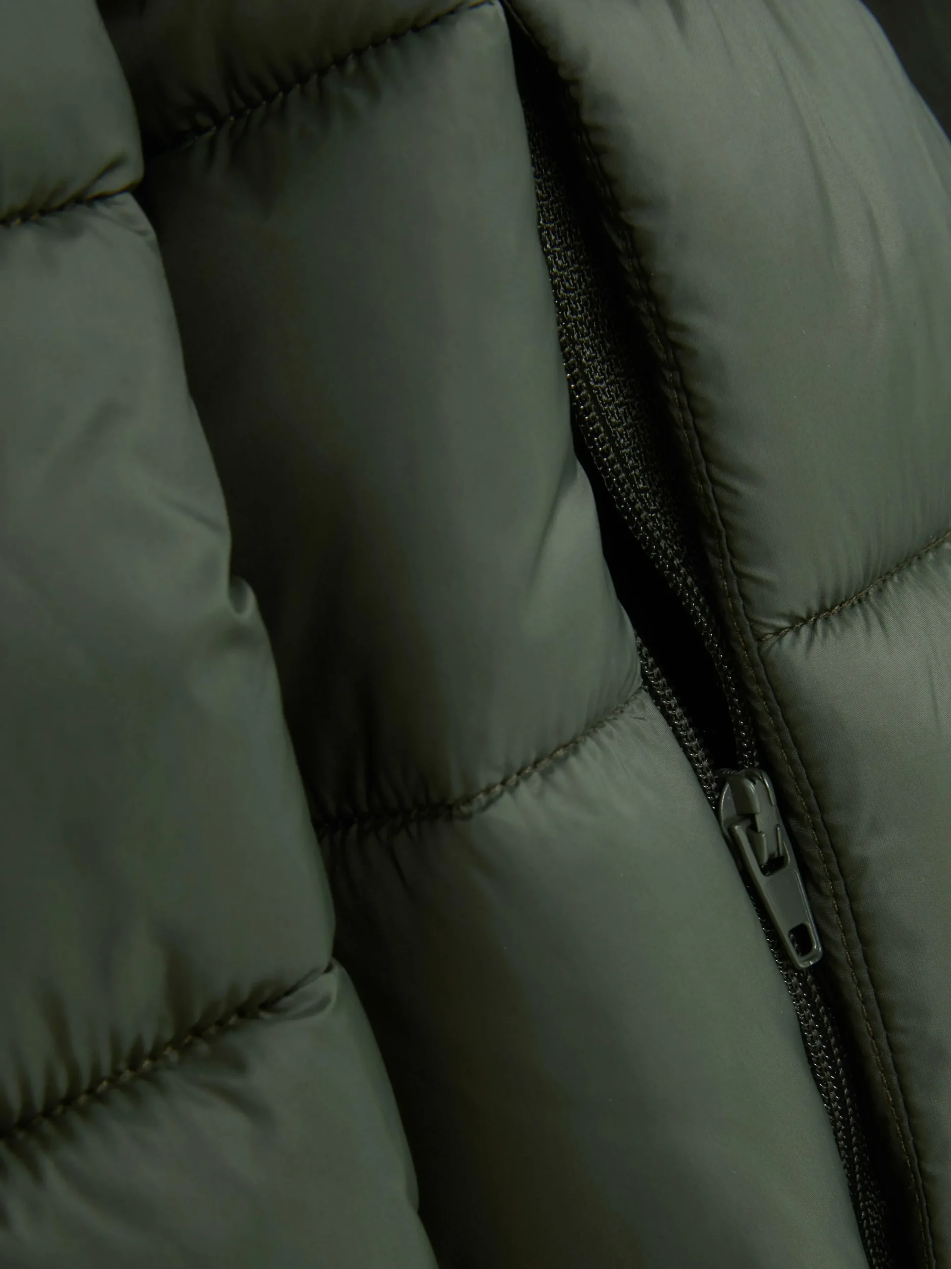 Chaqueta Acolchada Con Capucha