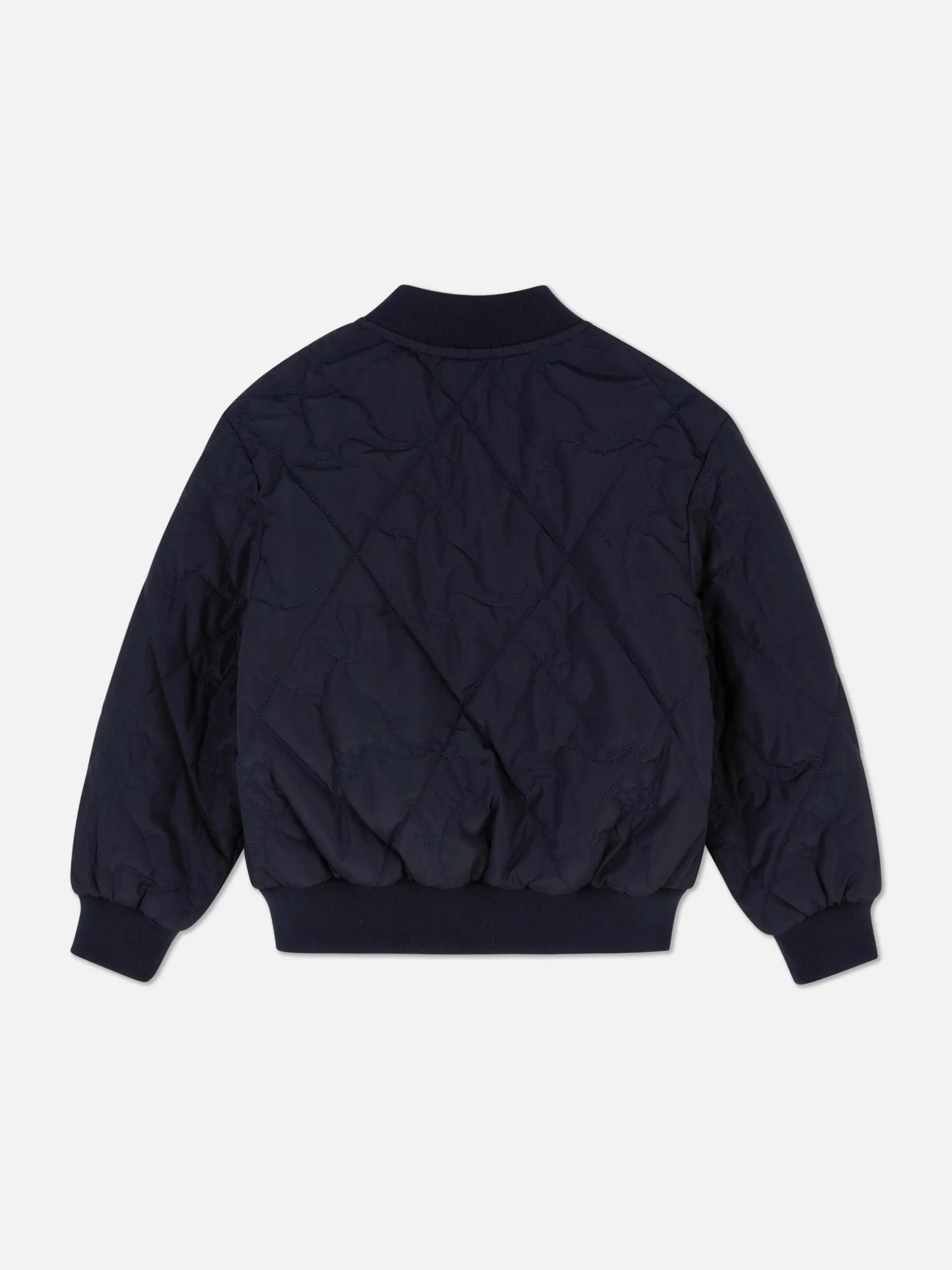 Chaqueta Tipo Bómber Acolchada