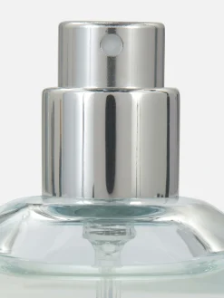 Colonia «Elements Day» De PS...