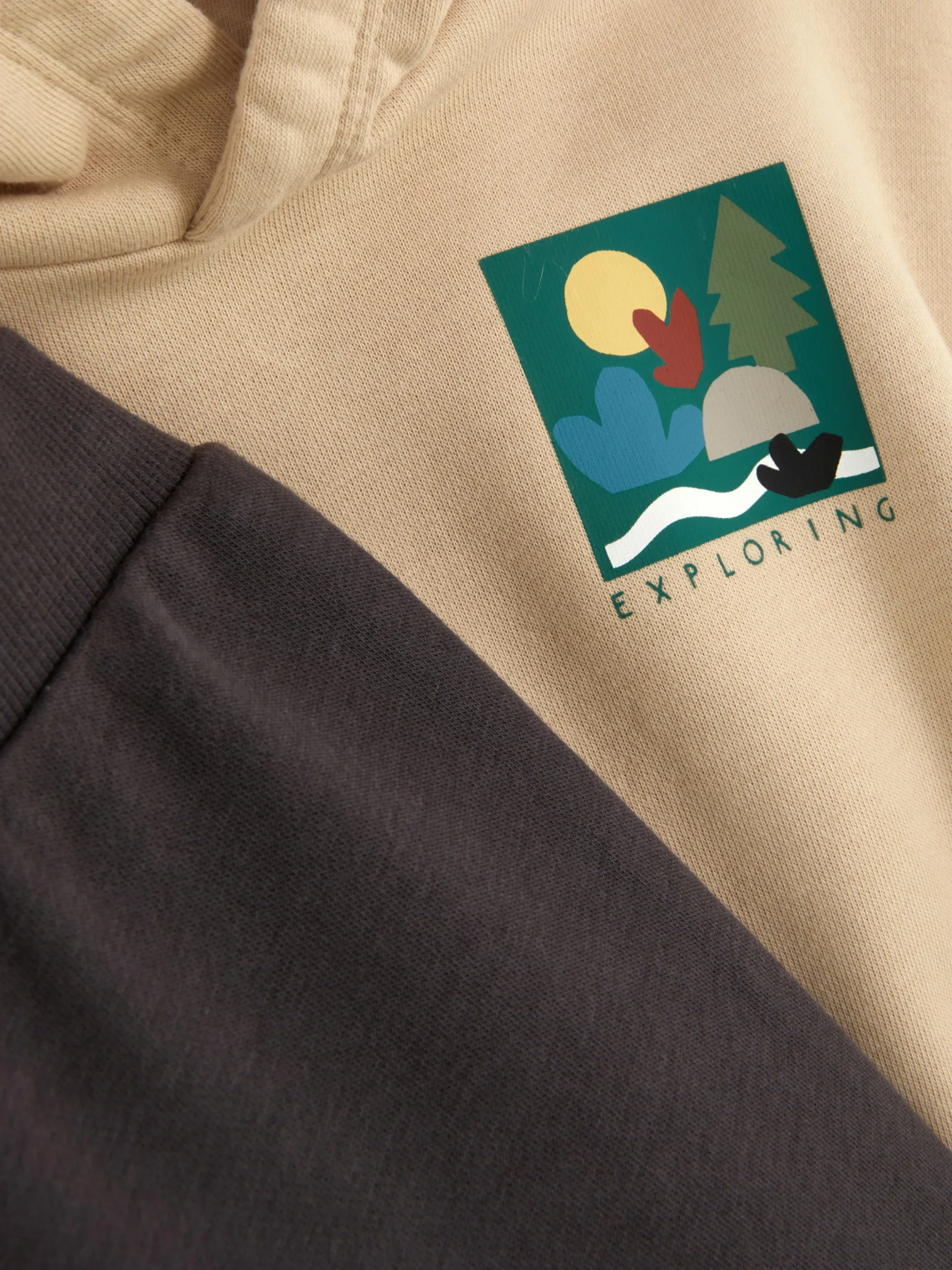 Set De Joggers Y Sudadera Con Capucha Sin Cierre