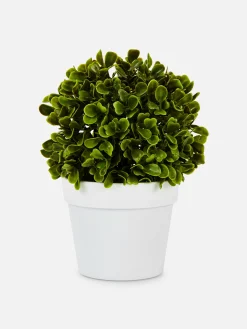 Suculenta Artificial En Maceta